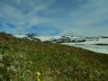 Sognefjellet 26.07.2012